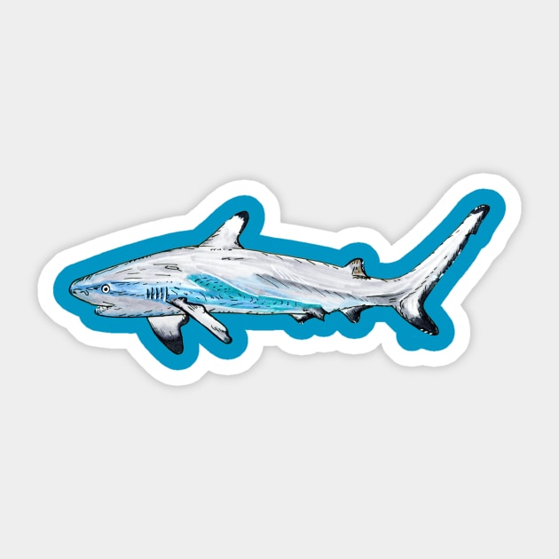 Blacktip Reef Shark Sticker by mpflies2